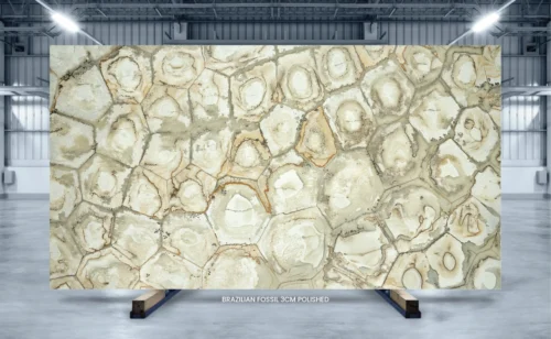 Brazilian Fossil quartzite slab