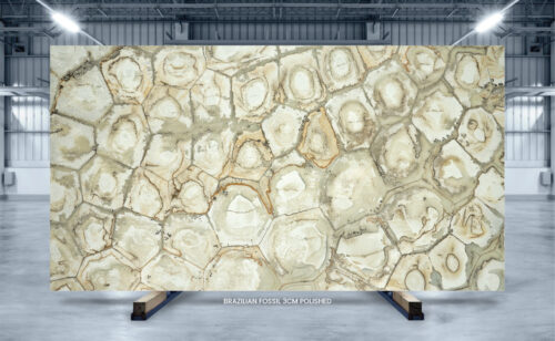 Brazilian Fossil quartzite slab