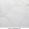 Calacatta Corchia marble