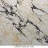 Calacatta Monet Marble