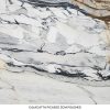 Calacatta Picasso Marble