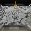 Calacatta Viola 2cm Marble