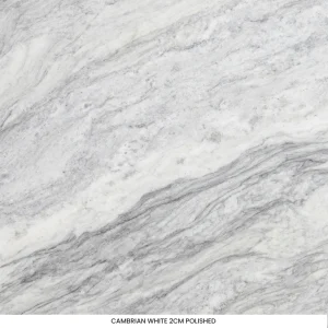 Cambrian White dolomite